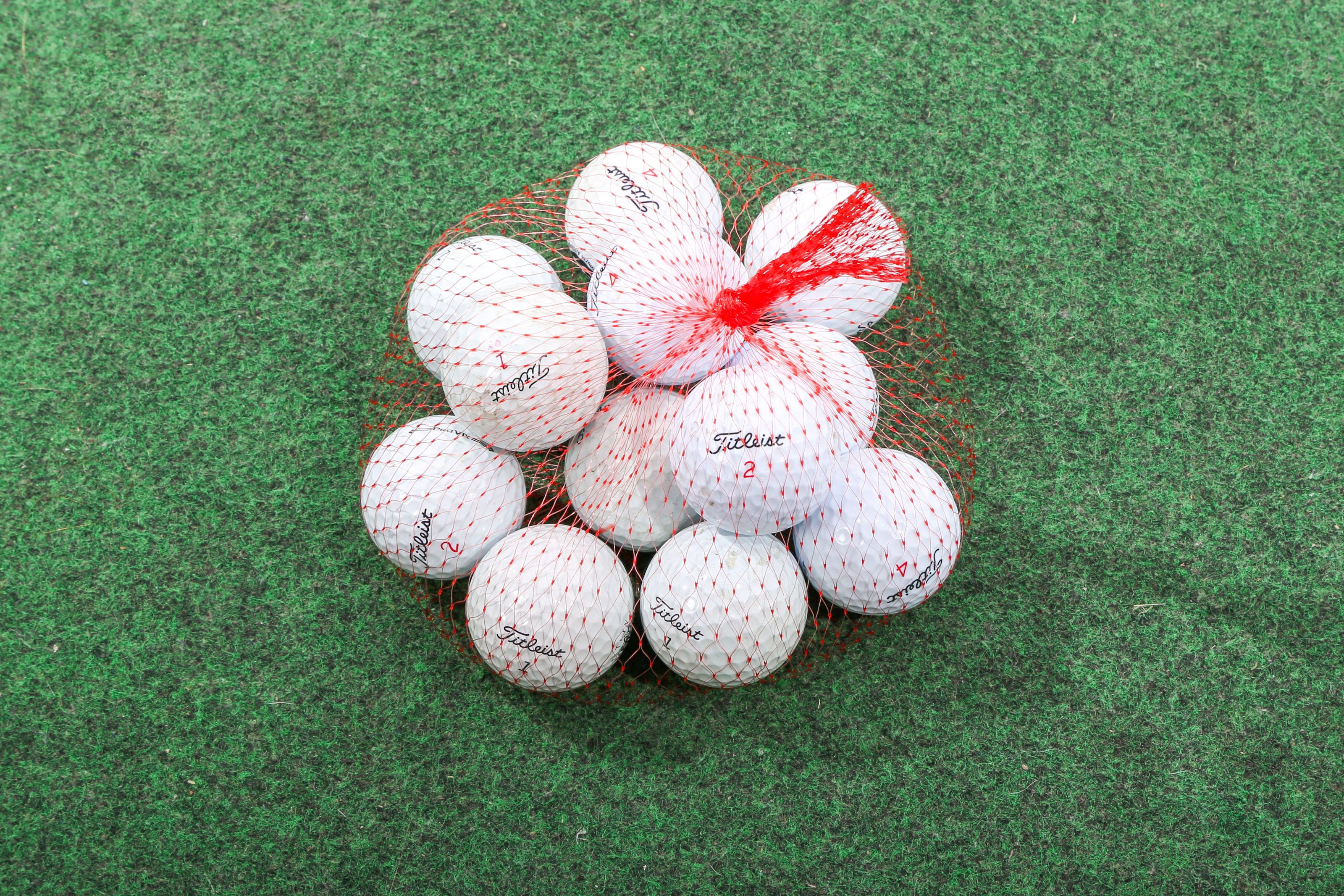 Recycled Titleist Golf Balls - Benefitting First Tee! - One Dozen-Next Round