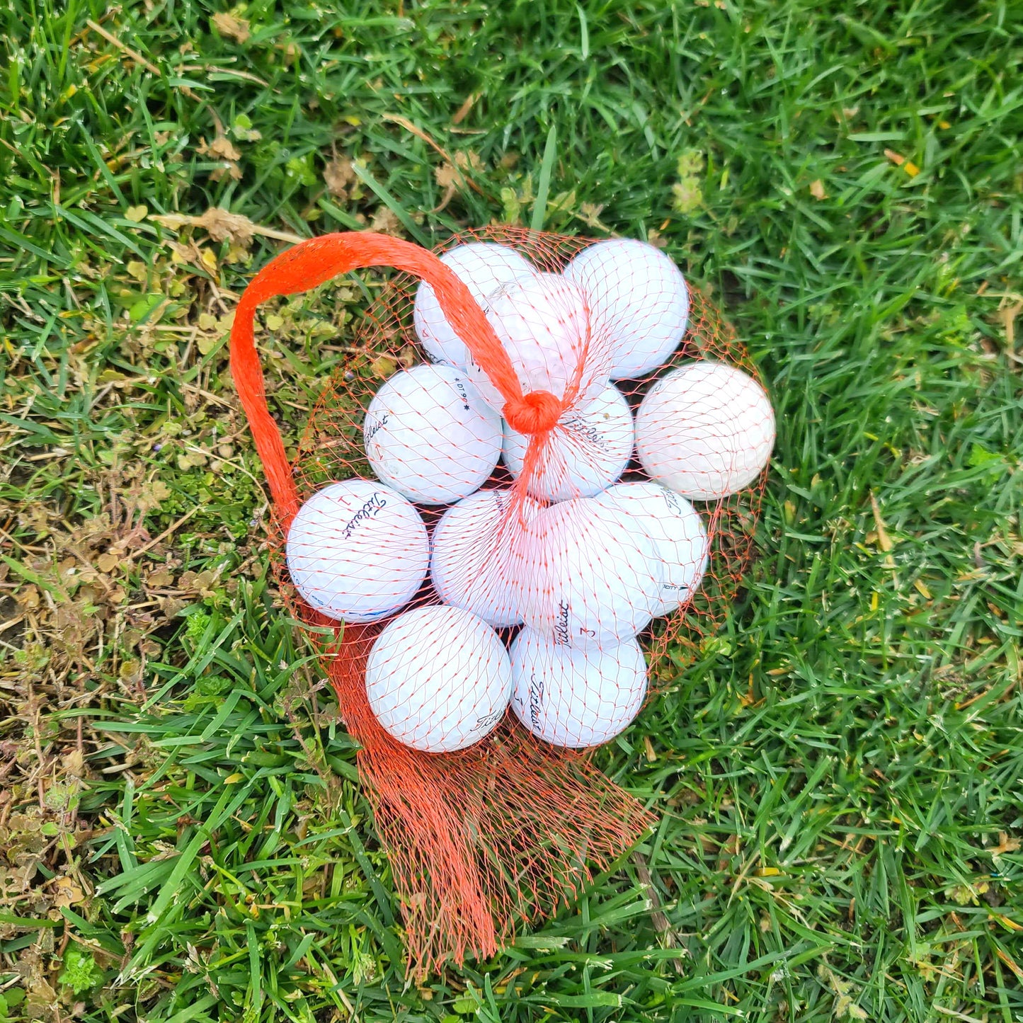 Recycled Titleist Golf Balls- Benefitting First Tee!-Next Round